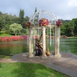 Harp on Lanai - Koele Lodge