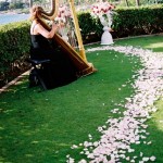 Harp at Maui Wedding