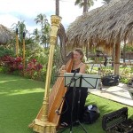 Harp on Ocean Front Lawn, Four Seasons Maui, 10/10/10