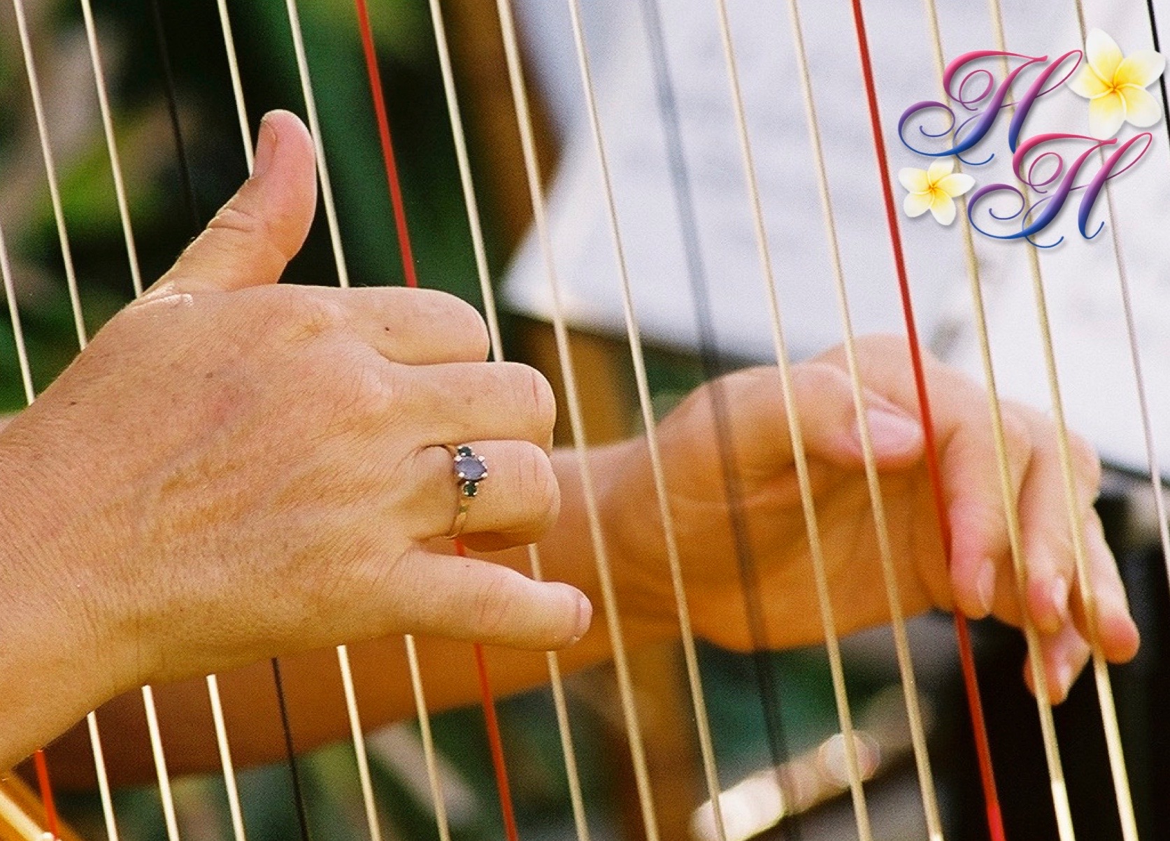 Royal Wedding Available on Maui! Heavenly Harps