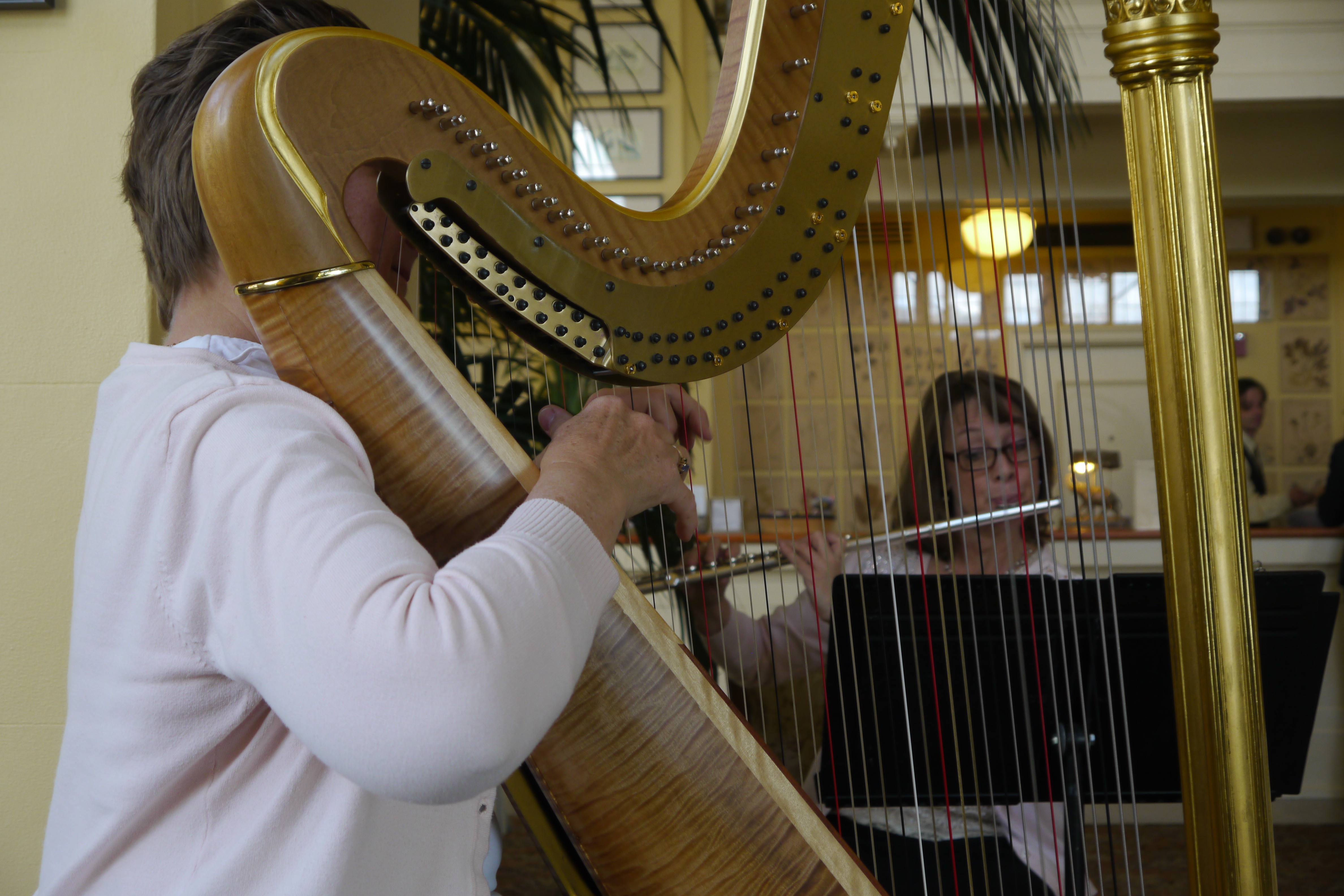 Heavenly Harp & Flute Duo Heavenly Harps